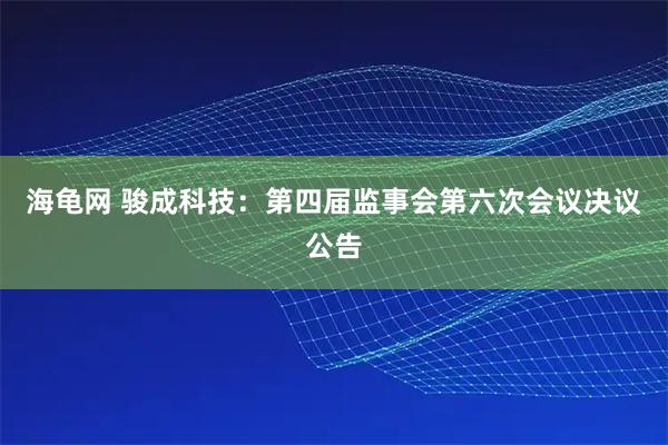 海龟网 骏成科技：第四届监事会第六次会议决议公告