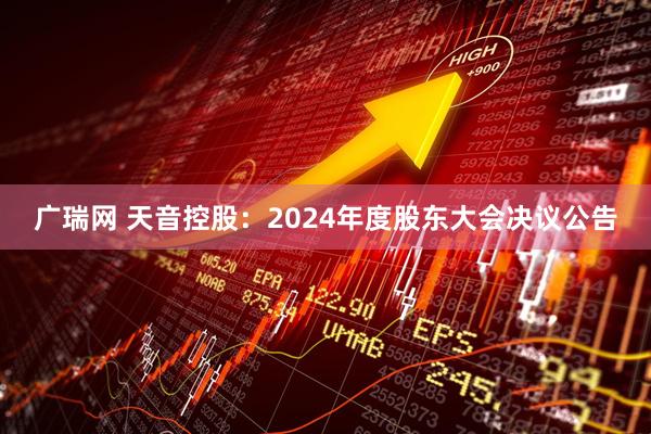 广瑞网 天音控股：2024年度股东大会决议公告