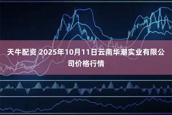 天牛配资 2025年10月11日云南华潮实业有限公司价格行情