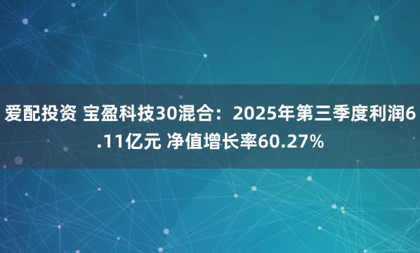 爱配投资 宝盈科技30混合：2025年第三季度利润6.11亿元 净值增长率60.27%