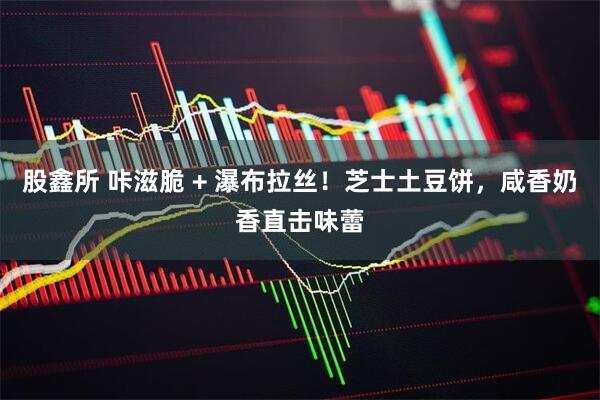 股鑫所 咔滋脆 + 瀑布拉丝！芝士土豆饼，咸香奶香直击味蕾