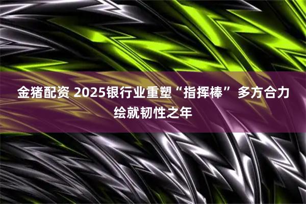 金猪配资 2025银行业重塑“指挥棒” 多方合力绘就韧性之年
