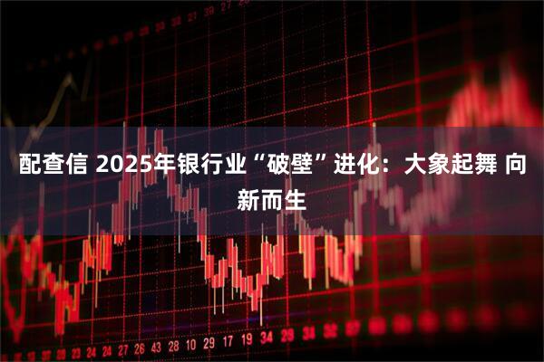 配查信 2025年银行业“破壁”进化：大象起舞 向新而生