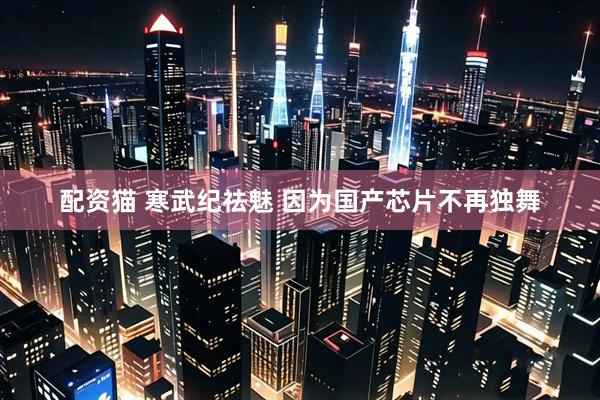 配资猫 寒武纪祛魅 因为国产芯片不再独舞